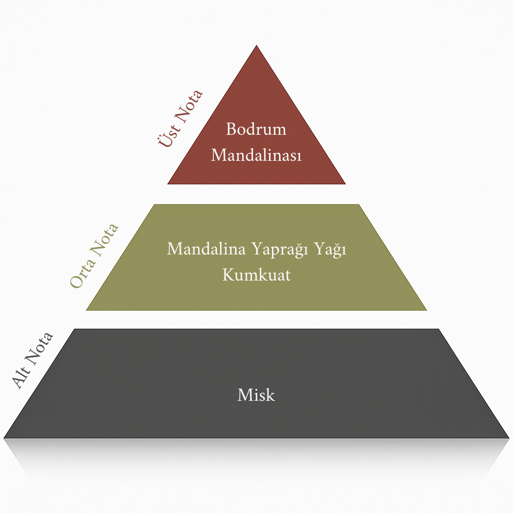 Mandarin Özel Koleksiyon 150 ML