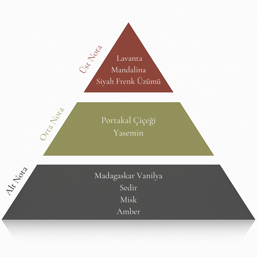 Musc Célesté Oda Parfümü 100 ML