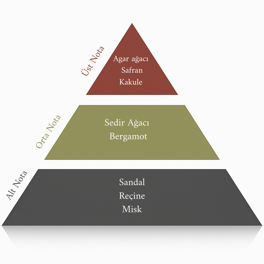 Oudh Oda Kokusu 225 ML