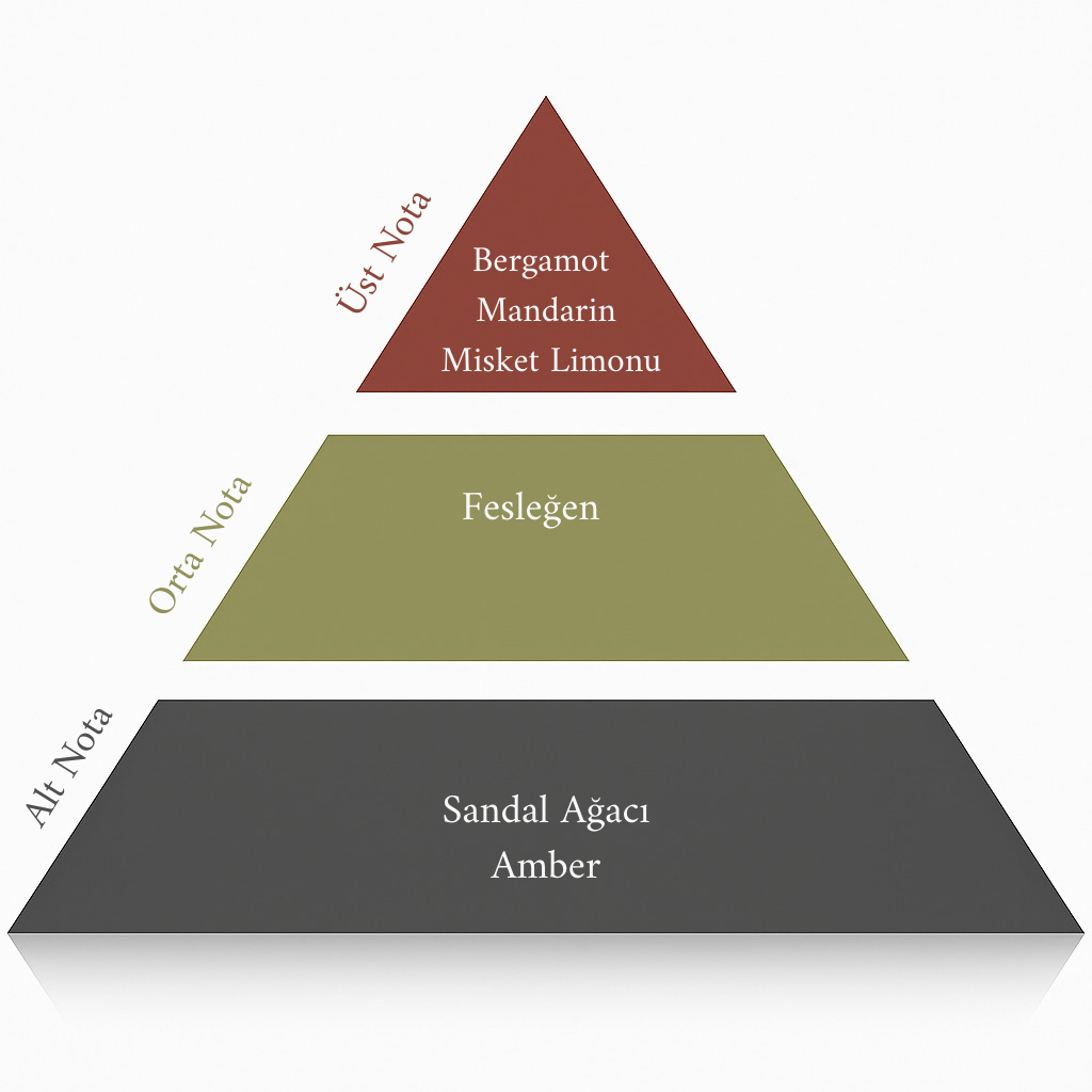 Lime Glow Özel Koleksiyon 500 ML
