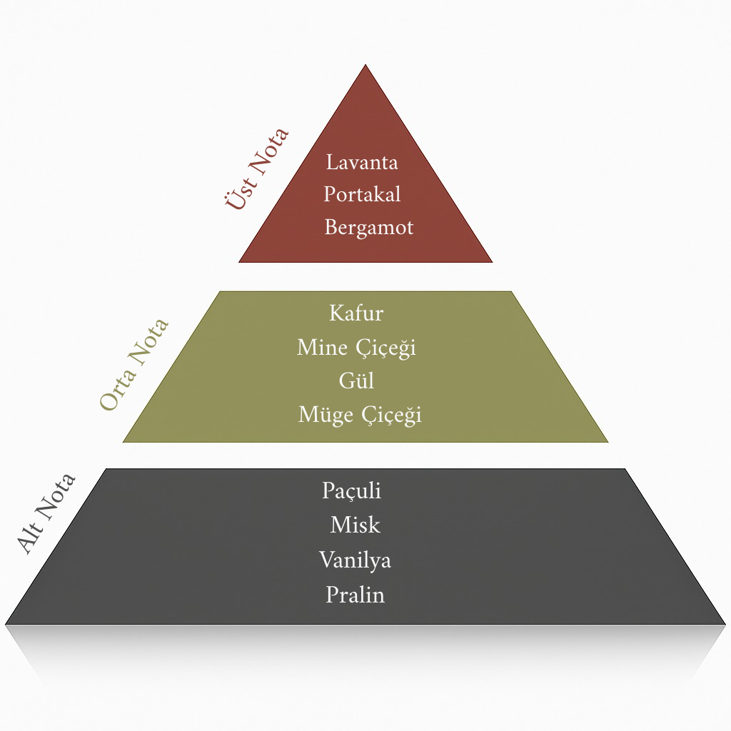 Patch Élégant Özel Koleksiyon 150 ML